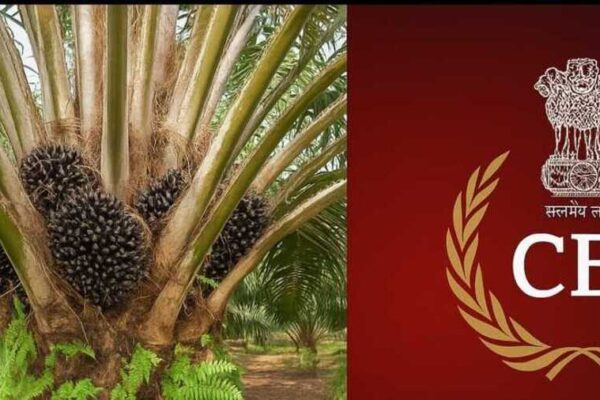 ఆయిల్ ఫెడ్ అక్రమాలపై సీబీఐ!