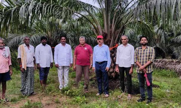 ఆయిల్ పామ్ అక్రమార్కులకు చుక్కలే