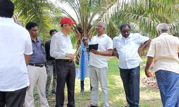 ఆయిల్ పామ్ తోటల్లో అవినీతి ఊట – ఐఐఓపీఆర్ బృందం పర్యటనలో వాస్తవాలు