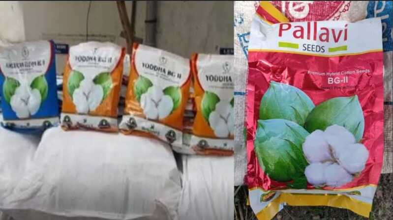 విత్తనాల దందా… అధికారుల అండ – అధిక ధరలతో అన్నదాత లూటీ