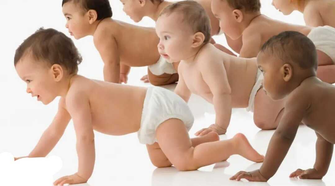 One Sperm Hundreds of Kids