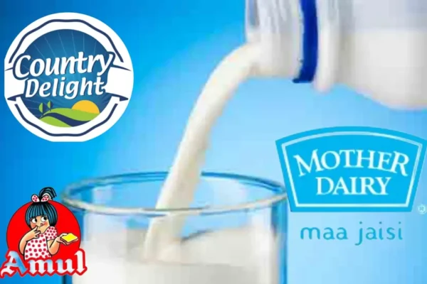 Bacteria in Branded Milk