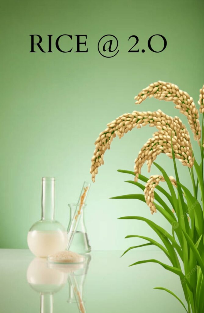 Artificial Rice @2.0