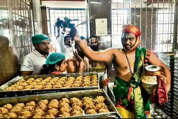 Thirupathi Prasadam Laddu