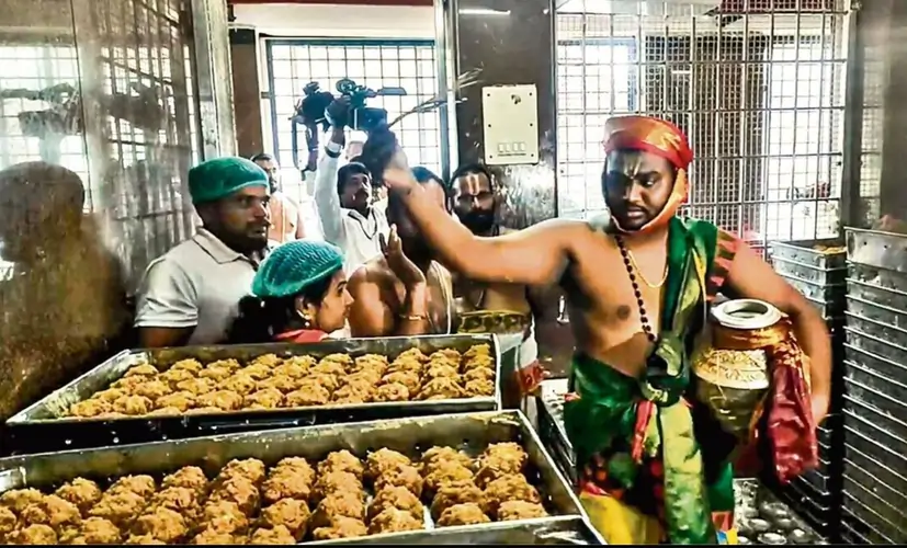 Thirupathi Prasadam Laddu