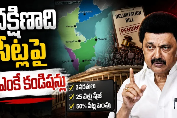 Delimitation Vs Southern States