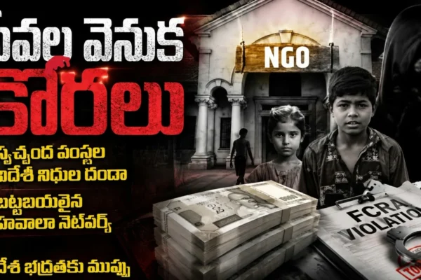 NGO's Scam