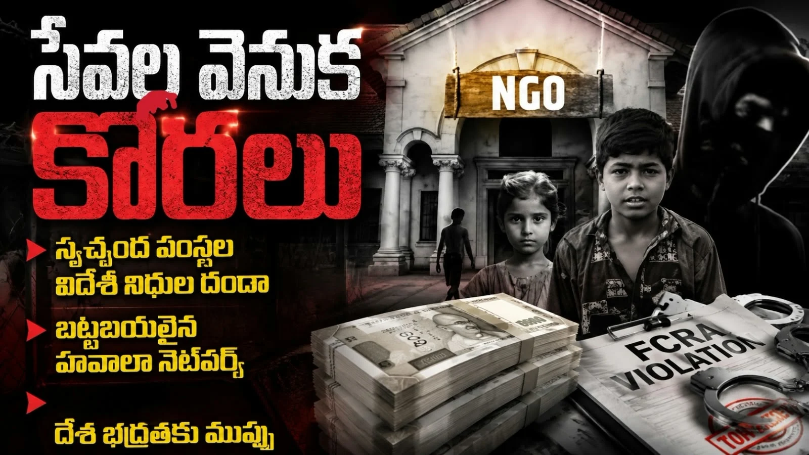 NGO's Scam