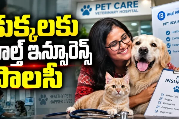 Health Insurance policy to Pet Dogs